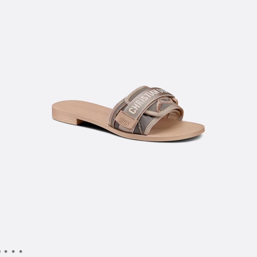 Dior revolution slides